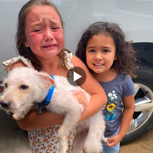 Tears of joy streamed down the cheeks of a 7-year-old girl as she was reunited with her long-lost dog after 280 days, sparking a wave of emotions within the online community.