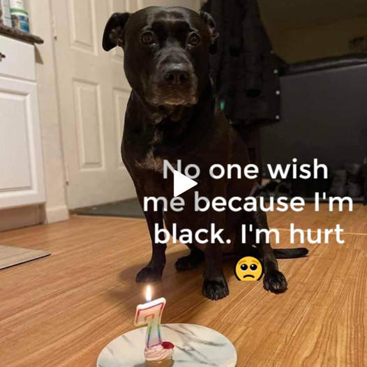 Today is my birthday no one wish me because I’m black..!! I’m hurt